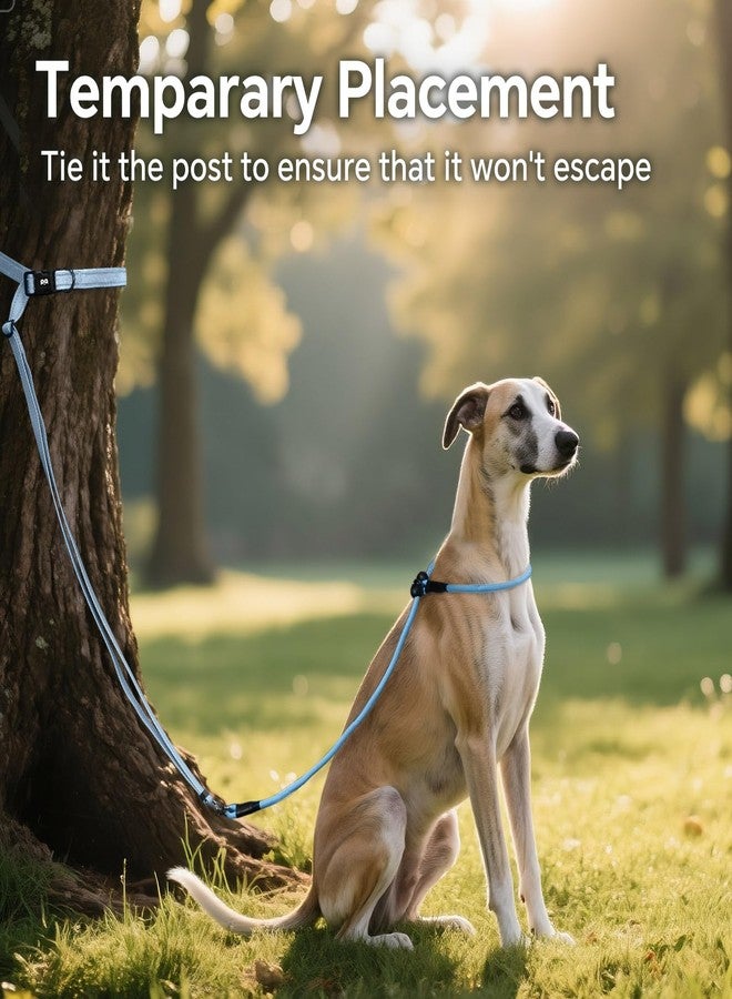 كيوكيو بيتس طوق كلاب قابل للتعديل من QQPETS، طوق خصر بدون استخدام اليدين للمشي مع الكلاب، طوق تدريب عاكس مع دوران 360 درجة مضاد للتشابك، طول من 4 إلى 7 أقدام لجميع السلالات - Image 5